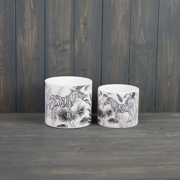 Black And White Zebra Plant Pot